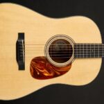 Evaluation: The Collings DS1 A Hill Nation Is a Totally different Form of Dreadnought GuitarContact