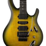 PRS SE Chleo | Assessment GuitarContact